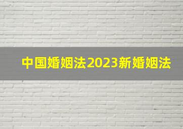 中国婚姻法2023新婚姻法