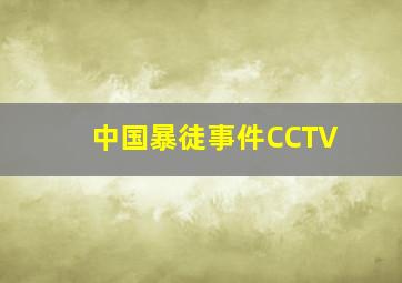 中国暴徒事件CCTV