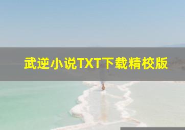 武逆小说TXT下载精校版