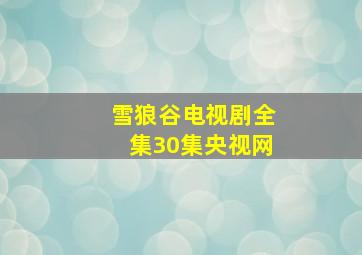 雪狼谷电视剧全集30集央视网